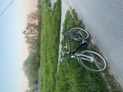 Rower miejski batavus