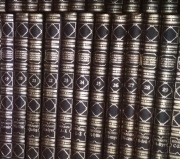 Encyklopedia Trzaski Everta Michalskiego