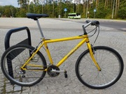 Rower Scott Rockwood 19"