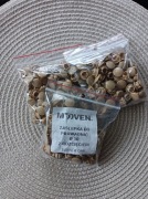 Zaślepki prowadnicy rolety 