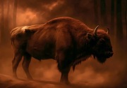 Żubr z Białowieży -  grafika - plakat 50x30cm