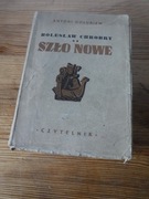 Antoni Golubiew - Bolesław Chrobry Szkło Nowe 1947 ZOBACZ 