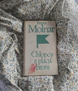 Chłopcy z placu broni