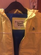 Kurteczka wiatrówka wiosna 