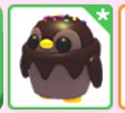adopt me choco penguin roblox pet