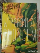 Manga W pogoni za słońcem 