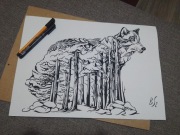 Rys: wilk leśny, cienkopis - b. tech. A3, 250 g/m2