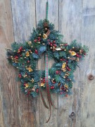 Gwiazda bożonarodzeniowa