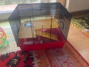 Klatka dla myszy z wyposażeniem 