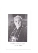 Obraz- Kardynał August Hlond.