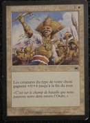 Karta Magic: The Gathering Defensive Maneuvers