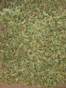 Kwiat lipy suszony 20g lipa