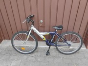 ROWER DZIECIECY GRAND JUNIOR