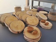 Krążki brzozowe plastry na stroik zestaw 25 sztuk 