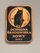 Sowy. Miedziana klipa. Gyges