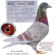 ***Top 100% Janssen prawdziwy unikat "***