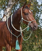 Cordeo komplet z eleganckim kantarem sznurkowym i wodzami - QHP, rozm. COB