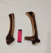 Poroże zestaw 2 szt naturalny Gryzak  dla psa  20-22cm 