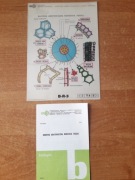 Budowa anatomiczna korzenia fasoli - fazogramy