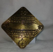 Medal kolekcjonerski z brązu 15 lat Towarzystwa WSI Lublin 1961-1976