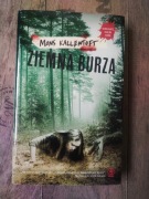 Ziemna burza Mons Kallentoff