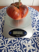 Pomidor Buzau kolekcjonerski