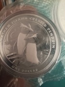 Srebrna moneta .999  Pingwin czubaty 1 oz + certyfikat