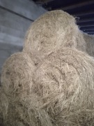 Siano w belach 120x120 suche 