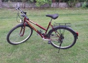 Rower Indiana Forever Special Bike