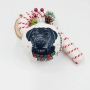 Bombka z portretem pupila