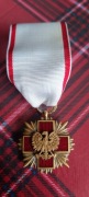 Brązowy krzyż pck