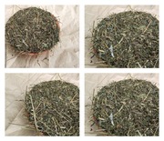 pasza dla kur na nośność SPECJAŁ MIESZANKA 