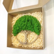 Drzewko Szczęścia Chrobotek, oryginalny prezent na rocznice ślubu 35cm