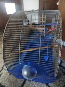 Sprzedam klatkę dla ptaków 