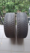GT Radial Champiro 205/55R 16