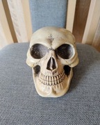 Figurka model Czaszka czacha Halloween