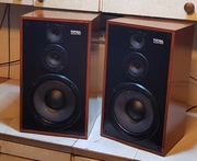 kolumny Unitra Tonsil ZGP 20/8-062 po renowacji 