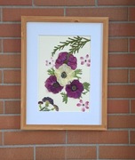 Naturalnie suszone anemony w kolorze różowo fioletowym i ecru . Handmade 