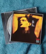 Lou Reed Rock n Roll Animal Velvet Underground Iggy Pop Stooges David Bowie