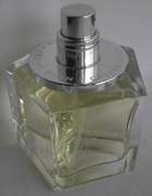 Celine Dion Belong woda toaletowa edt 50 ml