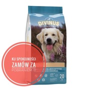 Divinius  adult dla psów dorosłych 20 kg
