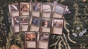 Nowy Zestaw kart LOTR TCG Władca Pierścieni - Hobbity