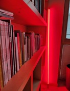 Hay neon led tube red lampa 