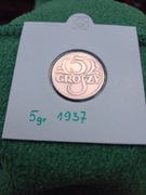 5 groszy 1937 w holderze 