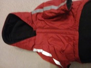 Kurteczka zimowa dla psa.