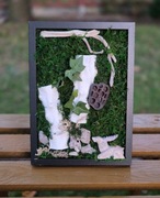 Obraz Kompozycja Mech Dekoracja Długowieczne Dom Prezent