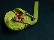 Smycz treningowa 10m limonkowa 