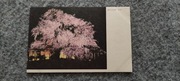 J328a Japonia - kwitnące wiśnie