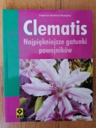 Clematis - F. M. Westphal 