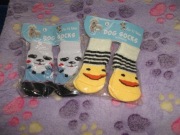 Skarpetki antypoślizgowe dla psa.